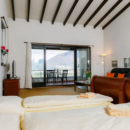 Residenza Miralago Apt-a10 By Interhome Piazzogna